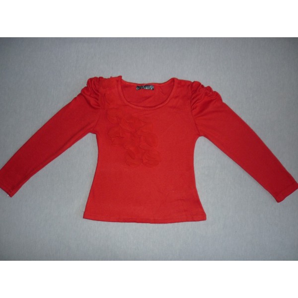 t-shirt/pull rouge